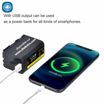 Batterie NP-F970 Usb C – Image 2