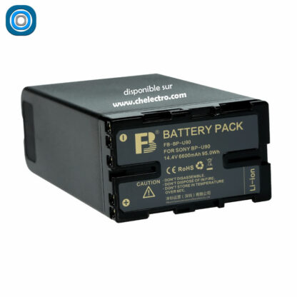 Batterie BP-U90 – Image 3