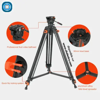 Trépied Pro Vidéo | Coman DF16L – Image 5