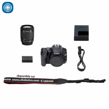 Canon EOS 250D + Obj. 18-55mm – Image 8