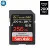 Carte mémoire 256Go EP | SanDisk