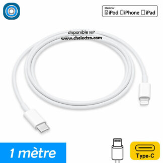 Câble de charge iPhone | 1 mètre