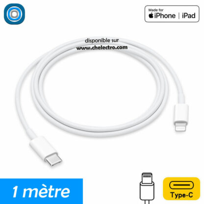 Câble de charge iPhone | 1 mètre