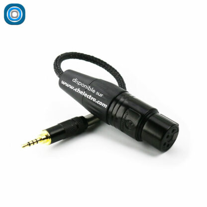 Convertisseur XLR / Jack 2.5mm – Image 2