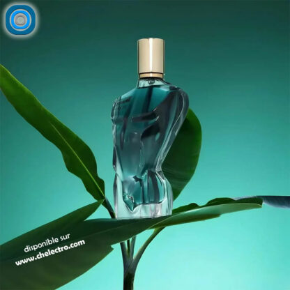 John Gustav Amaze | EDP 100ml – Image 2