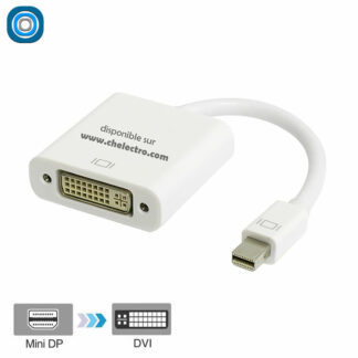 Convertisseur mini DisplayPort - DVI